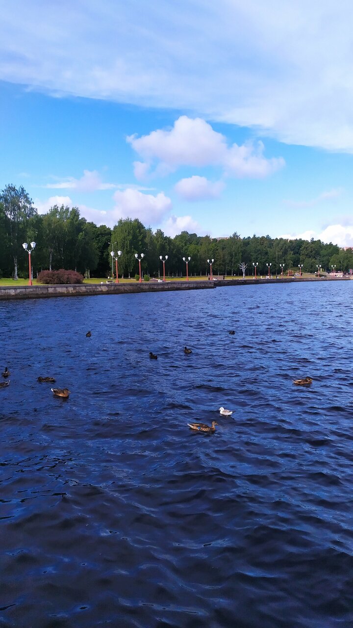Гостиница Фрегат Петрозаводск-29